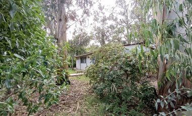 OPORTUNIDAD! Casa a reciclar en los mejor del Bosque Peralta Ramos
