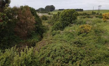 Casa en venta en PUERTO VARAS