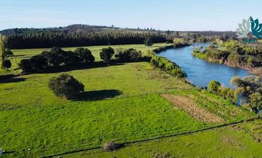 Parcela en venta en ANGOL