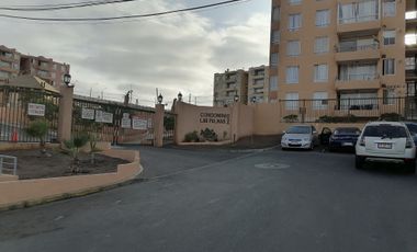 COMODO DEPARTAMENTO RECIEN PINTADO