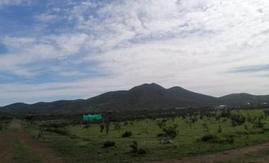 VENTA TERRENO - SITIO 5000MTS Coquimbo
