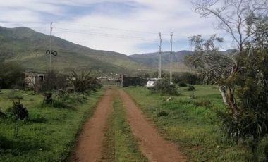 VENTA TERRENO - SITIO 5000MTS Coquimbo