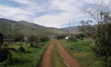 VENTA TERRENO - SITIO 5000MTS Coquimbo