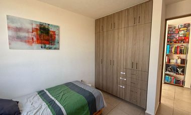 Áurea, Modelo Bellini, Toluca