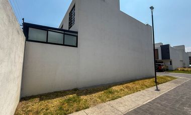 Áurea, Modelo Bellini, Toluca