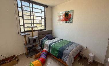 Áurea, Modelo Bellini, Toluca