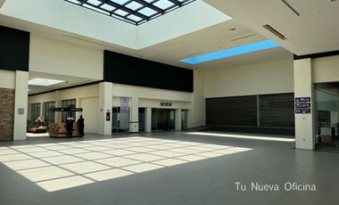 Renta Local Pabellón Metepec 307.44m² Metepec, Estado de México