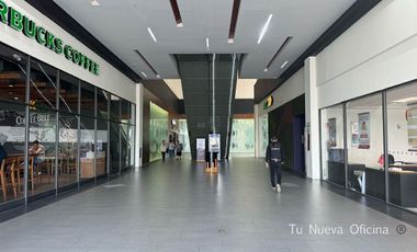 Renta Local Pabellón Metepec 307.44m² Metepec, Estado de México