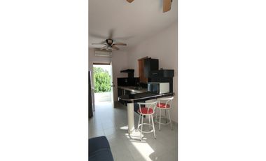 Departamento Amueblado en Renta  en Lomas Mederos