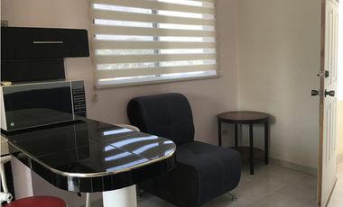 Departamento Amueblado en Renta  en Lomas Mederos