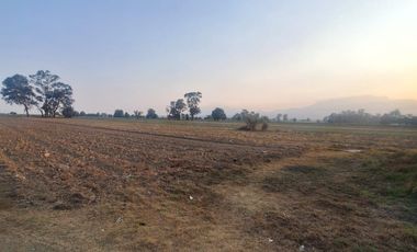 Terreno en renta Carretera Federal A Huejotzingo Puebla