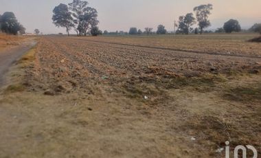 Terreno en renta Carretera Federal A Huejotzingo Puebla