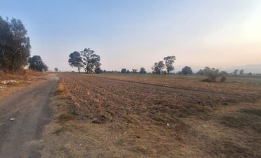 Terreno en renta Carretera Federal A Huejotzingo Puebla