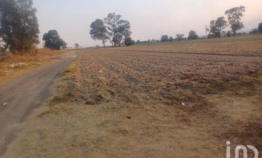 Terreno en renta Carretera Federal A Huejotzingo Puebla