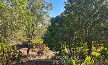 Algarrobo, Arriendo año corrido en gran casa en Condominio Puertas del Mar