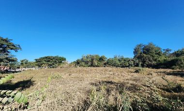 Lote Camino a Boca
