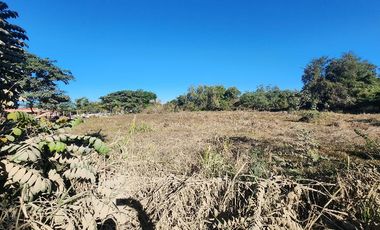 Lote Camino a Boca