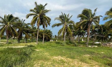 Terreno en venta -  Barra de Potosí