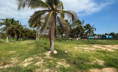 Terreno en venta -  Barra de Potosí