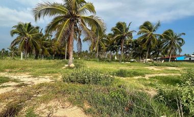 Terreno en venta -  Barra de Potosí