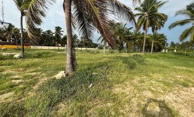 Terreno en venta -  Barra de Potosí