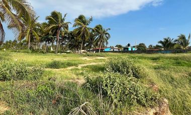 Terreno en venta -  Barra de Potosí