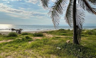 Terreno en venta -  Barra de Potosí