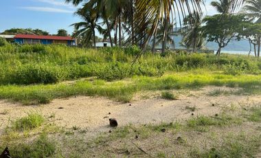 Terreno en venta -  Barra de Potosí