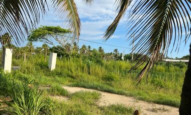 Terreno en venta -  Barra de Potosí