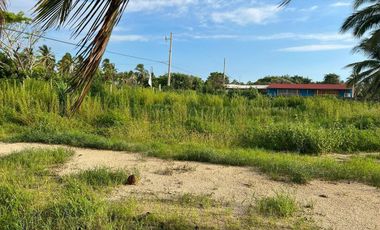 Terreno en venta -  Barra de Potosí