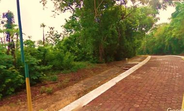 Terreno en venta - Ixtapa