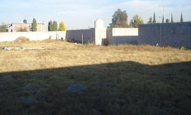 Terreno en renta Zumpango Estado de Mexico