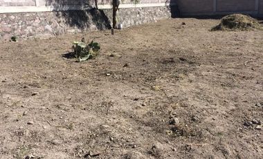 Terreno en renta Zumpango Estado de Mexico