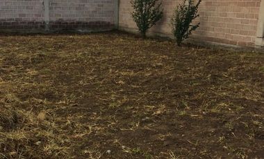 Terreno en renta Zumpango Estado de Mexico