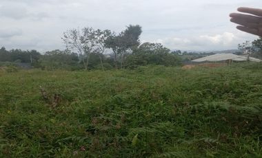 3 Lotes Independientes En Venta En El Canada ( El Carmen De Viboral)