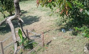 Casa Lote En Venta Verda Sol Rojo Via La Ceja -Rionegro