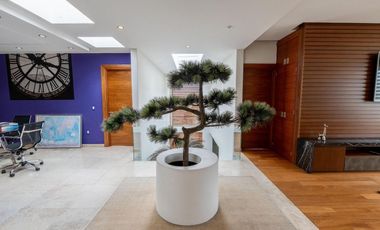 Casa en  renta en Providencia Metepec