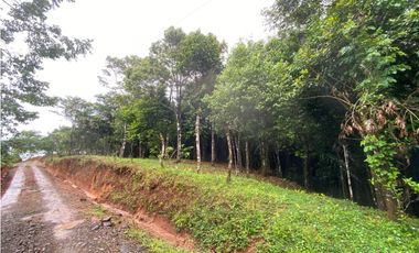 CERRO AZUL / TERRENO / 55 HECATREAS / BOSQUE / RIO / QUEBRADAS