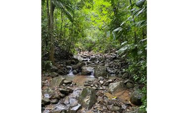 CERRO AZUL / TERRENO / 55 HECATREAS / BOSQUE / RIO / QUEBRADAS