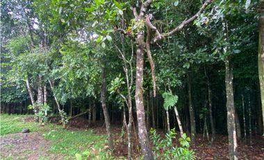 CERRO AZUL / TERRENO / 55 HECATREAS / BOSQUE / RIO / QUEBRADAS