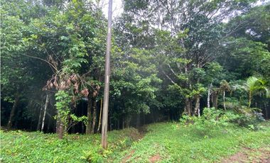 CERRO AZUL / TERRENO / 55 HECATREAS / BOSQUE / RIO / QUEBRADAS