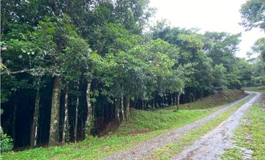 CERRO AZUL / TERRENO / 55 HECATREAS / BOSQUE / RIO / QUEBRADAS