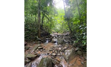 CERRO AZUL / TERRENO / 55 HECATREAS / BOSQUE / RIO / QUEBRADAS