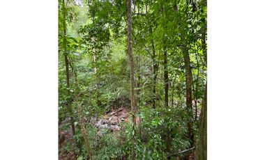 CERRO AZUL / TERRENO / 55 HECATREAS / BOSQUE / RIO / QUEBRADAS