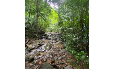 CERRO AZUL / TERRENO / 55 HECATREAS / BOSQUE / RIO / QUEBRADAS