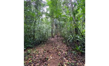 CERRO AZUL / TERRENO / 55 HECATREAS / BOSQUE / RIO / QUEBRADAS