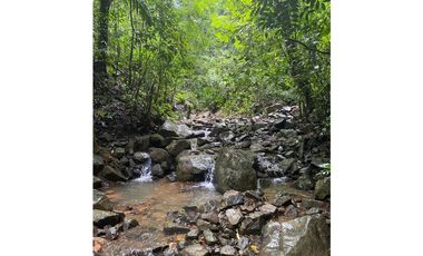 CERRO AZUL / TERRENO / 55 HECATREAS / BOSQUE / RIO / QUEBRADAS