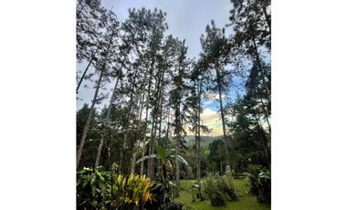 CERRO AZUL / EL VIGIA / 1700M / AMOBLADO / LINEA BLANCA / CASCADA