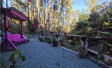 ALTOS DE CERRO AZUL / FINCA AGROTURISTICA / 2 CABAÑAS / 1 CASA / 1998M