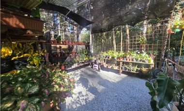 ALTOS DE CERRO AZUL / FINCA AGROTURISTICA / 2 CABAÑAS / 1 CASA / 1998M